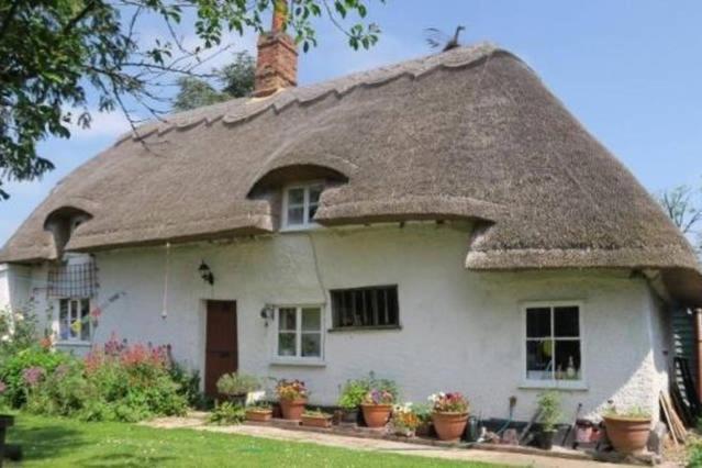 Entire Thatched Cottage Melbourn Exterior foto